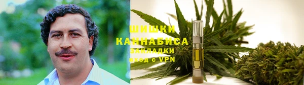 прущая мука Алзамай