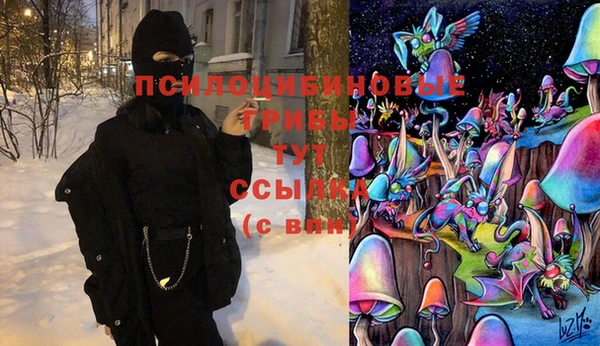 прущая мука Алзамай
