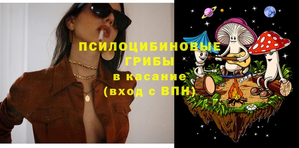 кокс Алексин