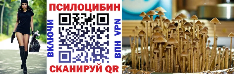 Галлюциногенные грибы Psilocybe  Пласт 